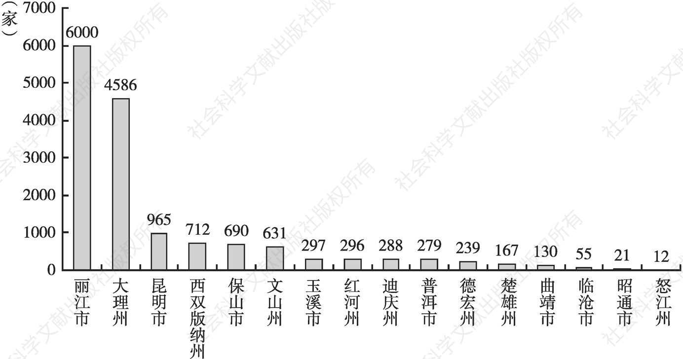 图3 云南旅游民宿分布情况示意
